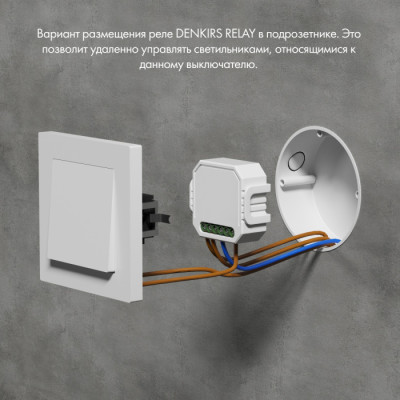 Wi-Fi реле Relay RL1003-DM