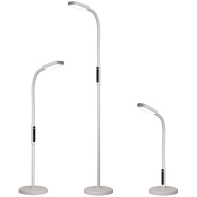 Торшер Марк CL804020