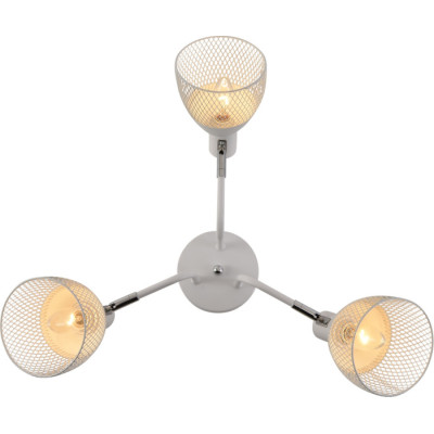 Потолочная люстра  01581-0.3-03 WH+CR