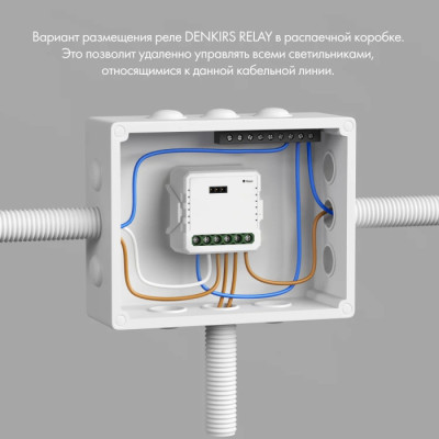 Wi-Fi реле Relay RL1001-SM