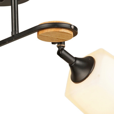 Спот  04217-0.2-01 BK