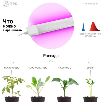 Светильник для растений  FITO-36W-RB-N